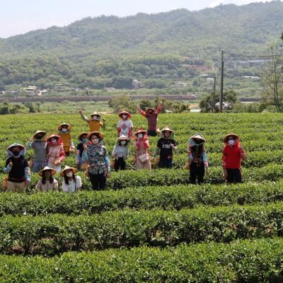 Culture Trip - Tea Plucking and Pottery DIY